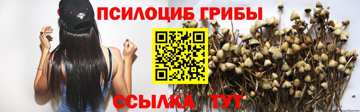 Псилоцибиновые грибы MAGIC MUSHROOMS  Междуреченск 