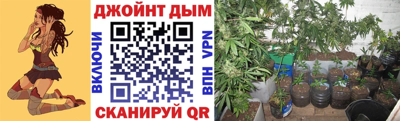 Каннабис Amnesia  Междуреченск 