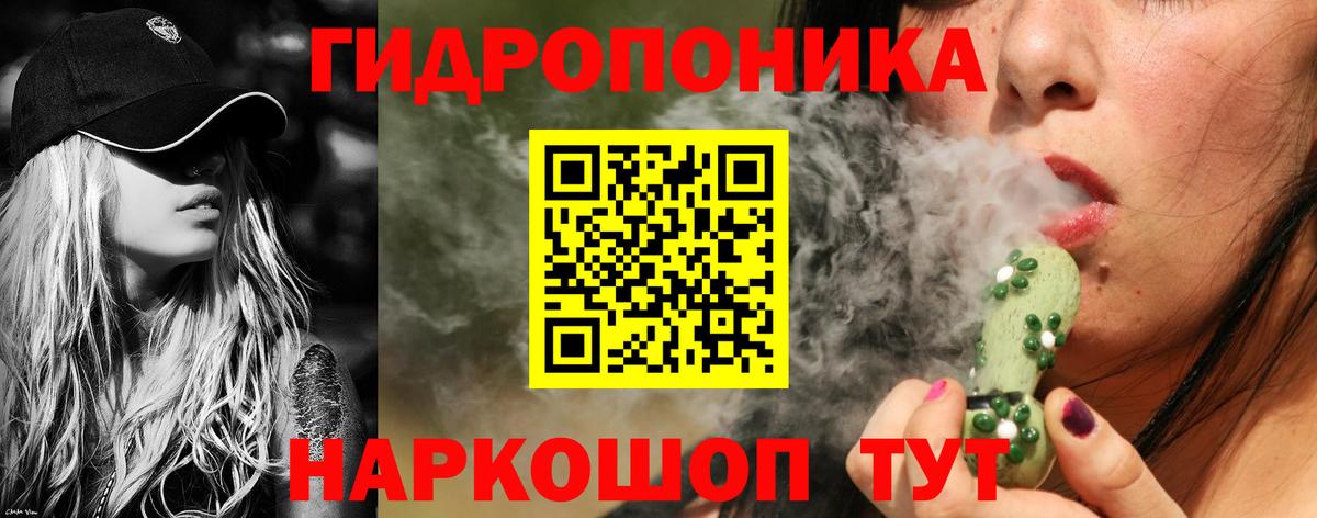 Каннабис индика Междуреченск